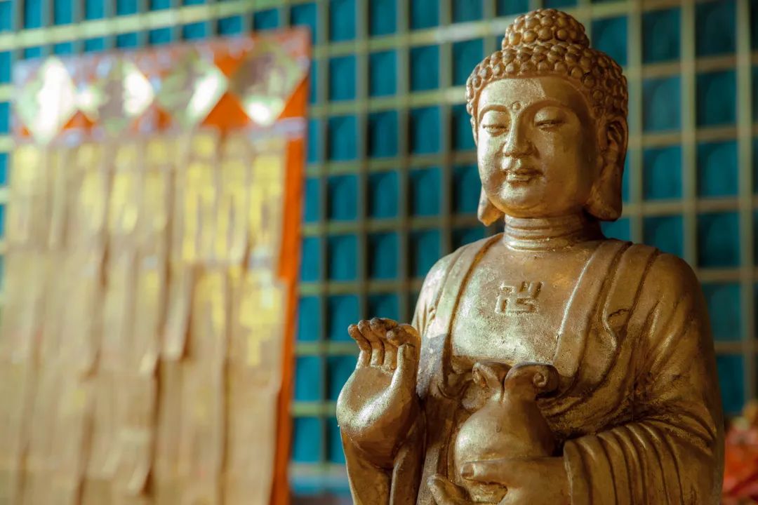 念佛如何做才能感应道交?__凤凰网