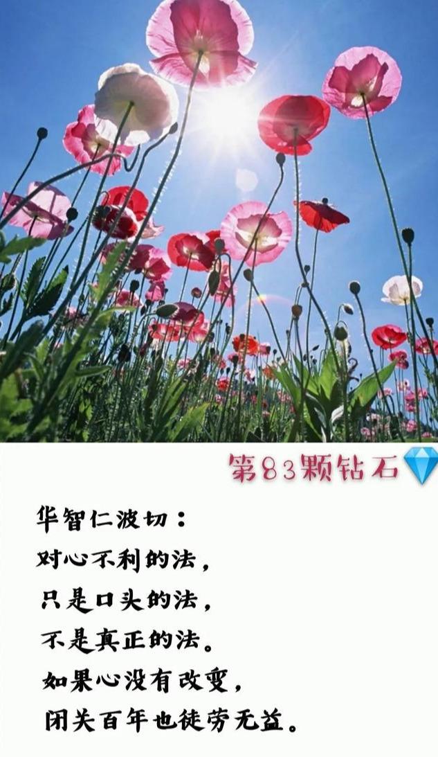 索达吉堪布菩提心是大乘佛法的精髓