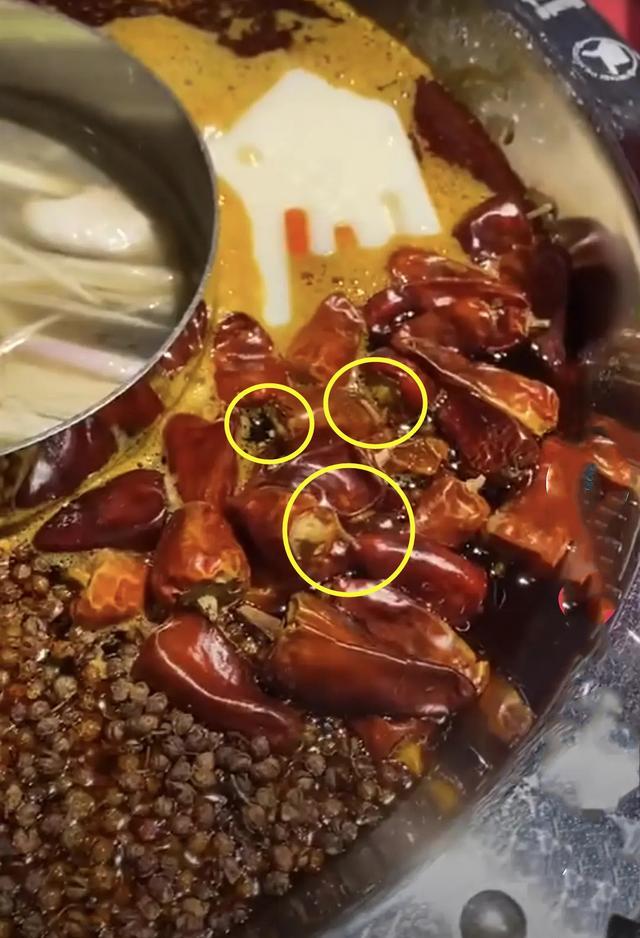陈赫火锅店翻车！食客视频爆料吃出三条蠕动的虫