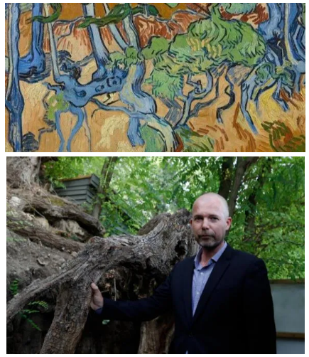 这里"非常有可能"是《树根》所描绘的地点,此处距离梵高在奥维尔的