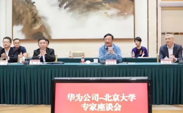 华为的经济总量_华为logo(2)