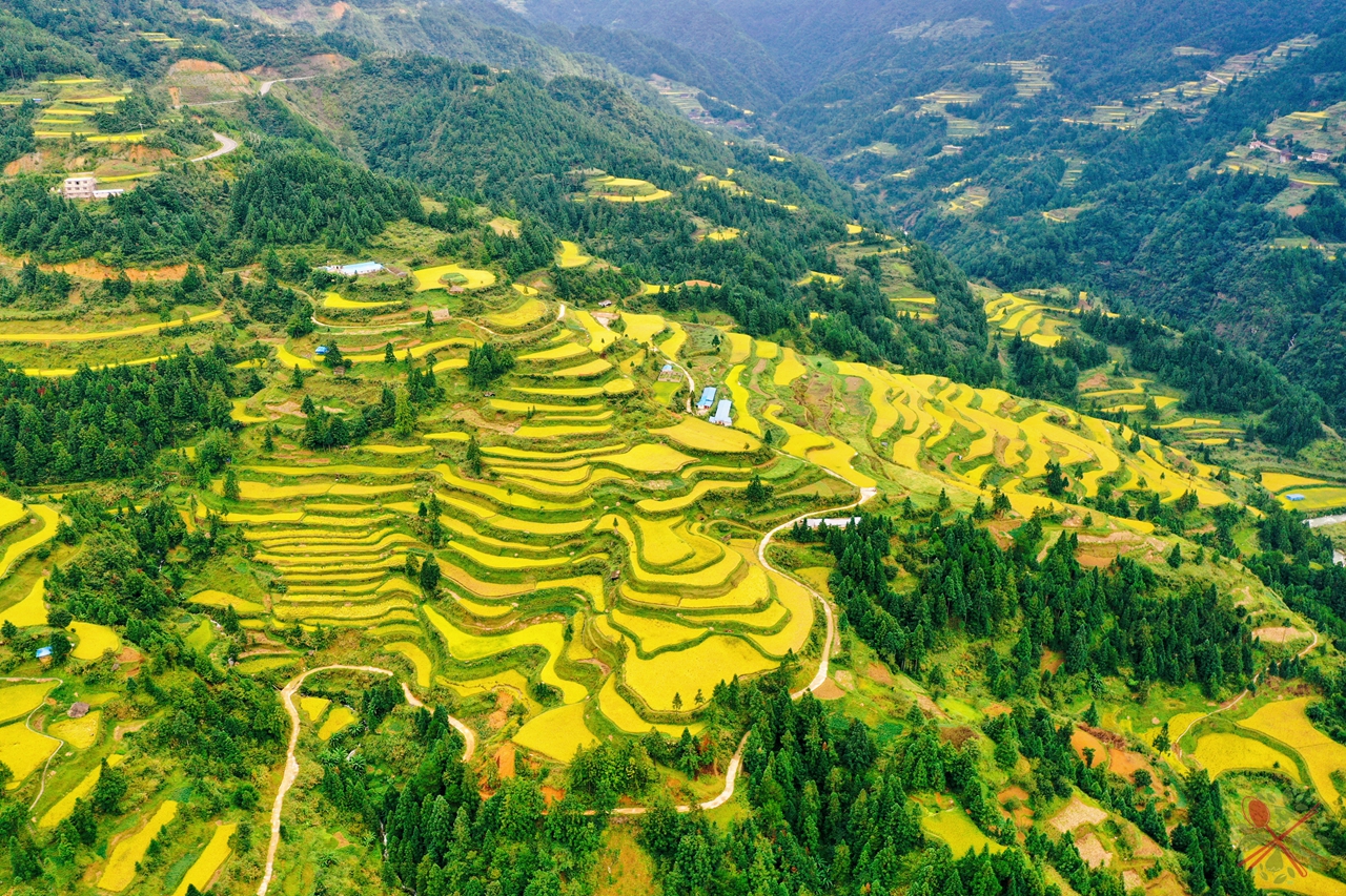 这些景点都在雷山县,昨天去了大塘景区,今天去白岩村看梯田,到乌东村