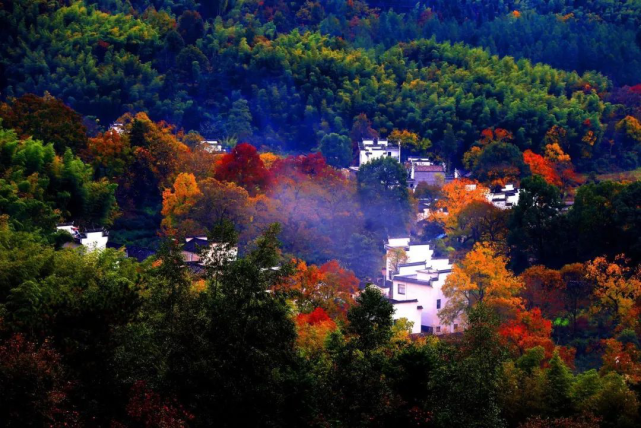 江浙沪皖秋季最值得去的十大景点