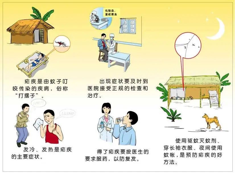 狂魔肆虐丨可怕的傳染病 之 瘧疾:仍在肆虐的瘟疫