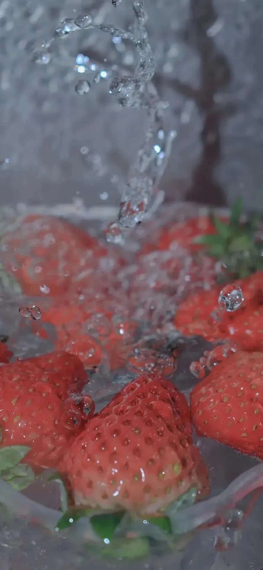 抖音壁纸7月19日抖音最火壁纸