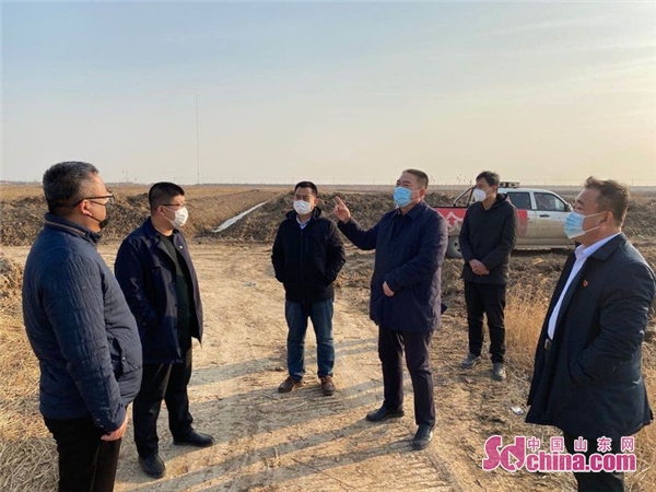 在马山子镇蔡家庄子村,张恩传一行实地查看了高标准农田建设现场,多台