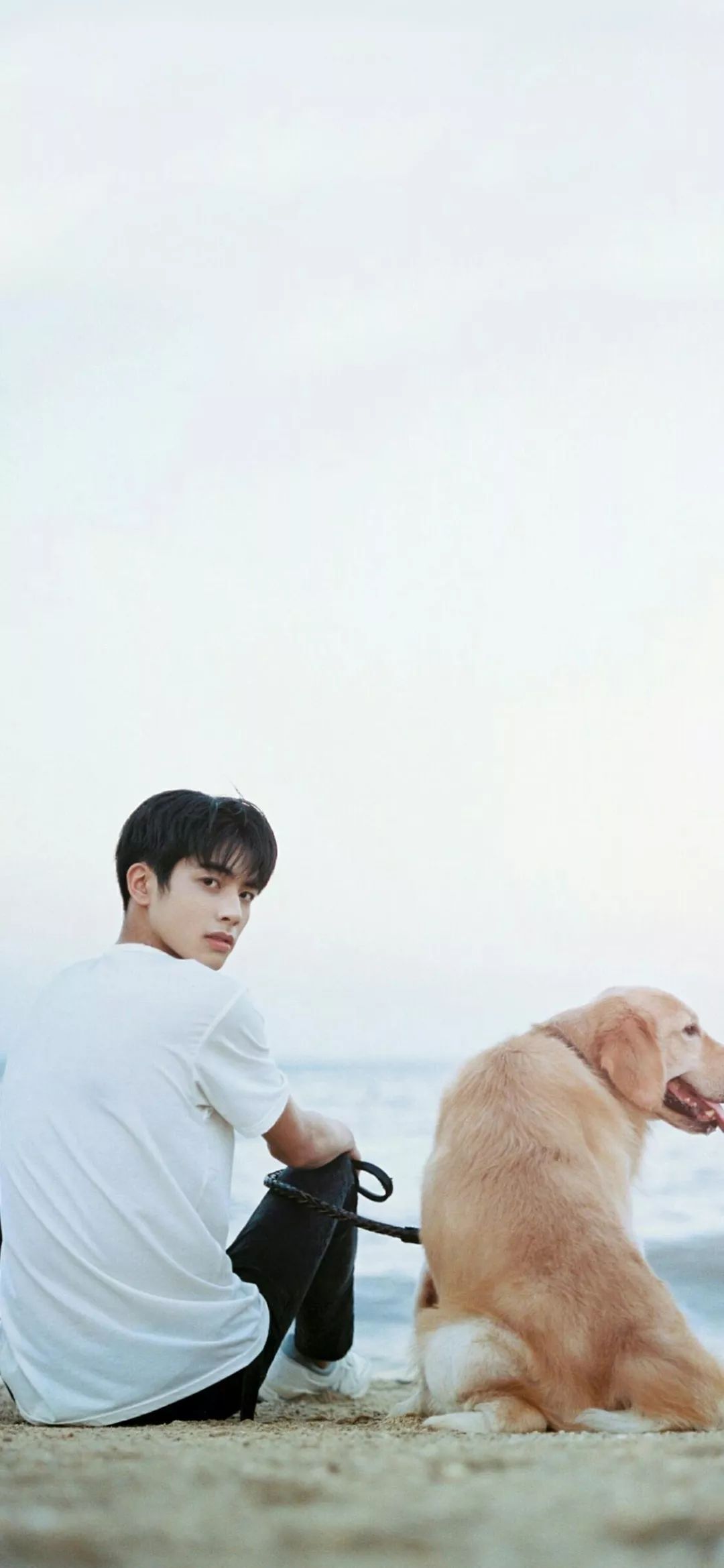 壁纸丨和年下小奶狗谈恋爱请问这是什么神仙体验