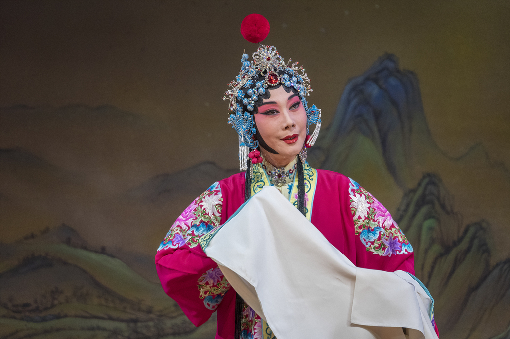 观戏记录——京剧"安国夫人"