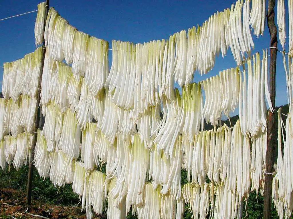 什么叫通风处 B1F518E853A8F75AE1D702B3229DA0AA05754578_size159_w1024_h768.jpeg