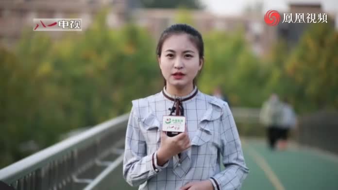 守纪——391高地的十五个“邱少云”