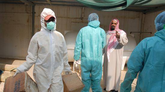 高致病性H5N8禽流感在沙特爆发 近40万只禽鸟已被扑杀