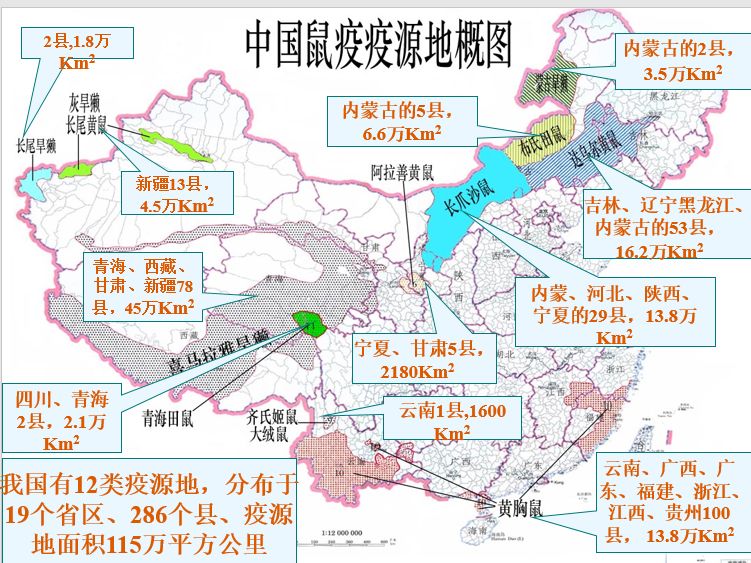 第二次鼠疫大流行使欧洲人口减少近