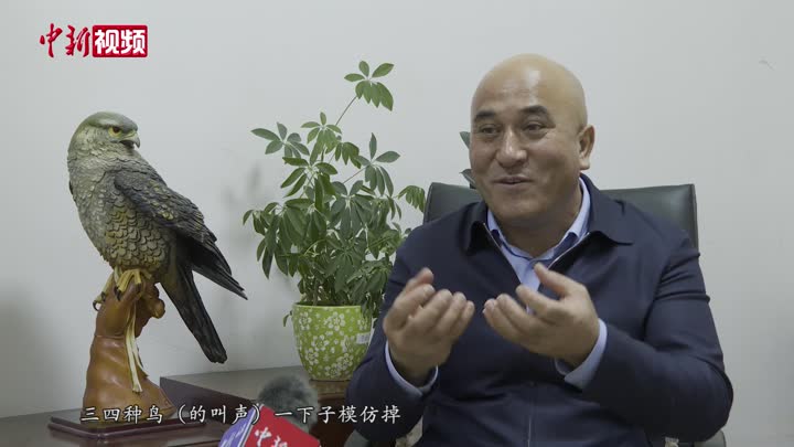 新疆大叔"懂鸟语" 无道具模仿40多种声音