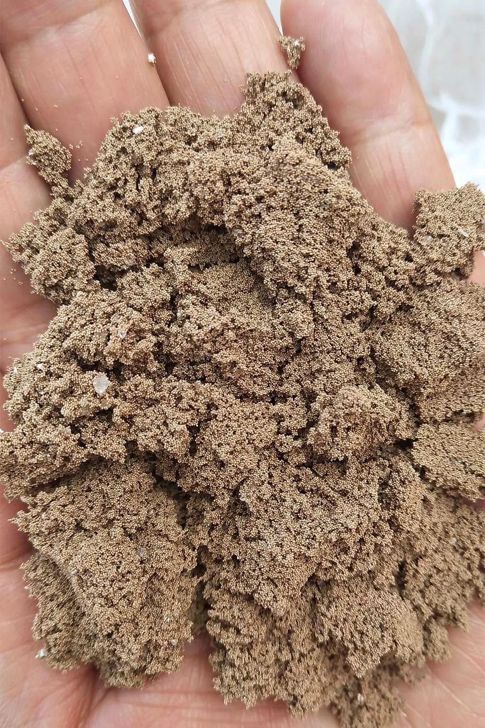 津门网杨军:巴里坤湖的"金沙子"__凤凰网