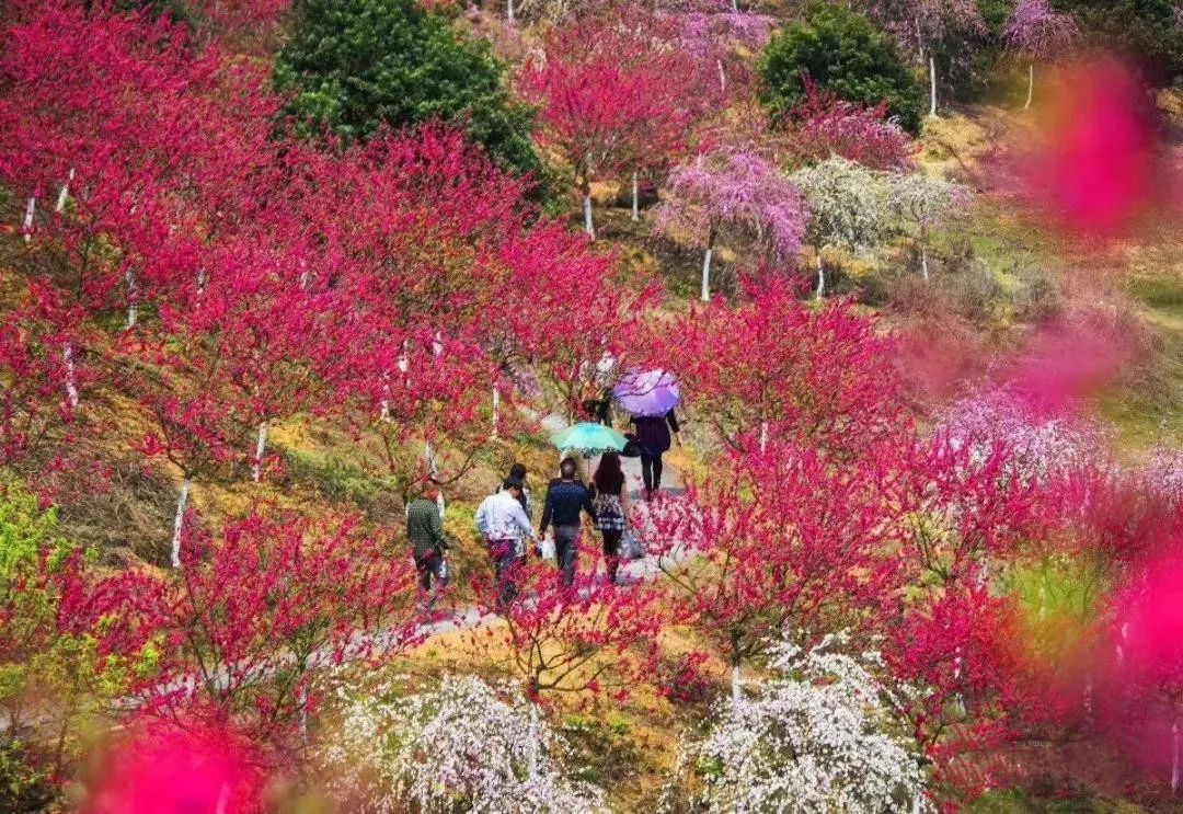 @江西人，你知道江西什么季节适合旅游吗？