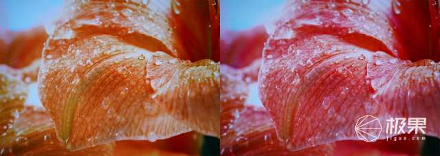 创维Q71深度测评:万元级全程8K电视来了