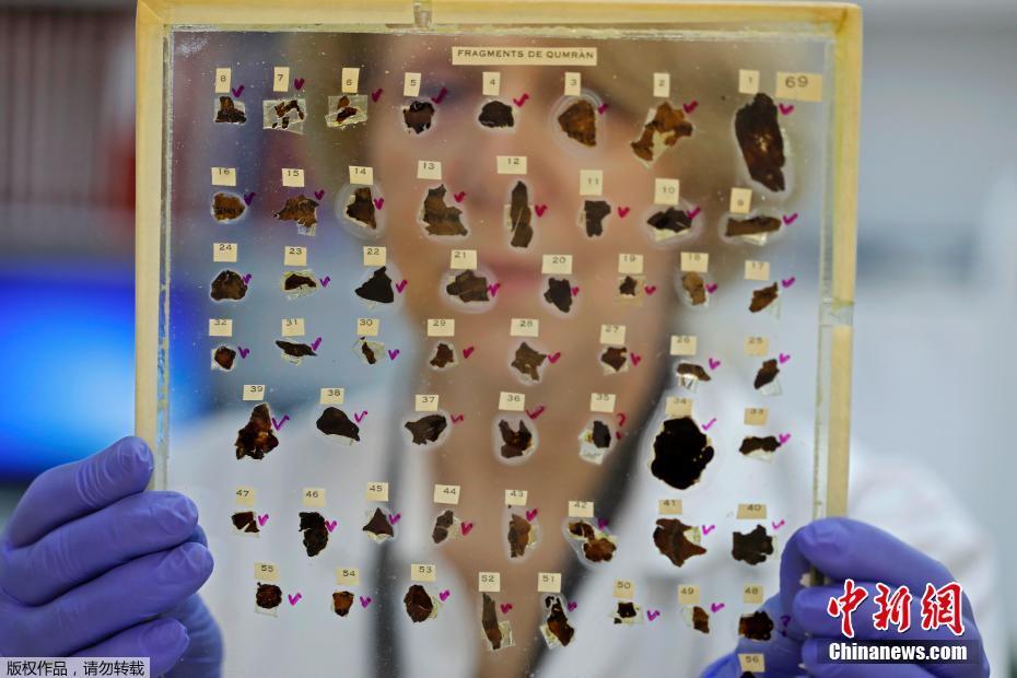 当地时间2020年6月2日,耶路撒冷,死海古卷实验室的工作人员在以色列文物局(IAA)查看基因取样片段。一项最新研究表明,从死海古卷(Dead Sea Scrolls)中提取的古代动物 DNA,或许能成为科学家解开犹大沙漠碎片谜题的钥匙。科学家希望通过这种新颖的方法产生一个死海古卷的“基因组”,从而帮助学者们解码这些神秘的文物。