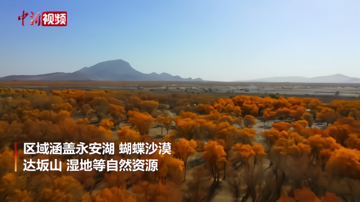 永安湖旅游区：平原湿地与大漠胡杨交映