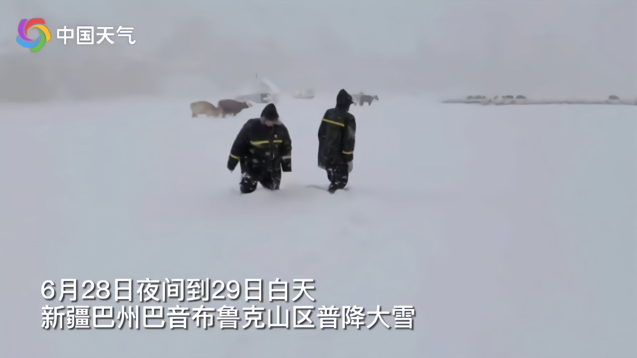 新疆巴音布鲁克：六月大雪纷飞 牲畜转场及交通受影响