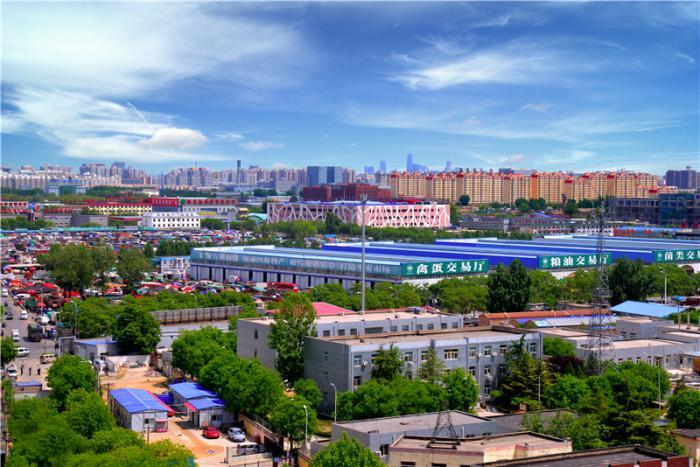 新发地市场全景。截图自新发地官网。