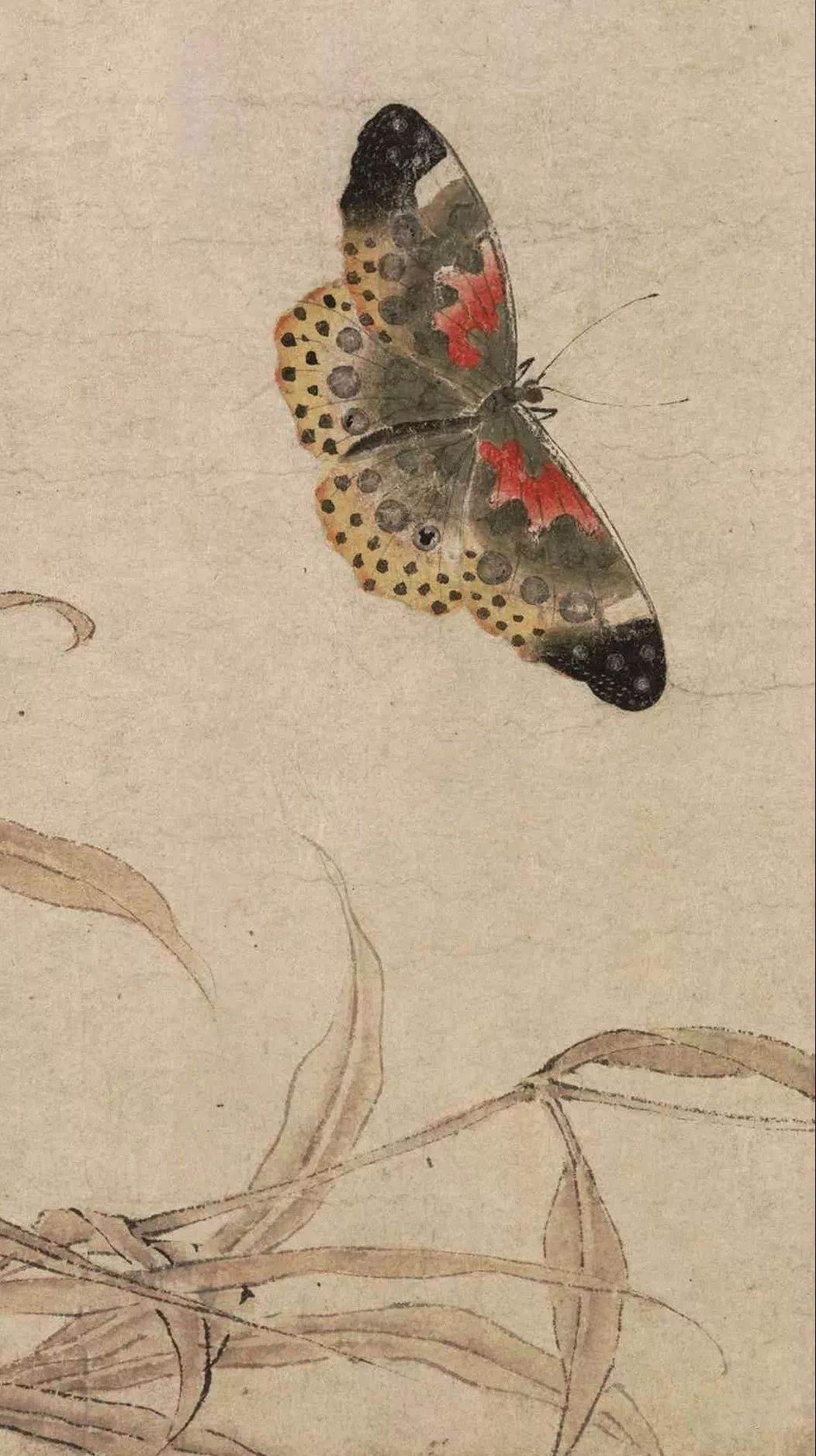 写生赵昌北宋色彩最好的花鸟画家高清