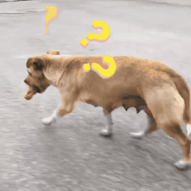 640_640gif 动态图 动图