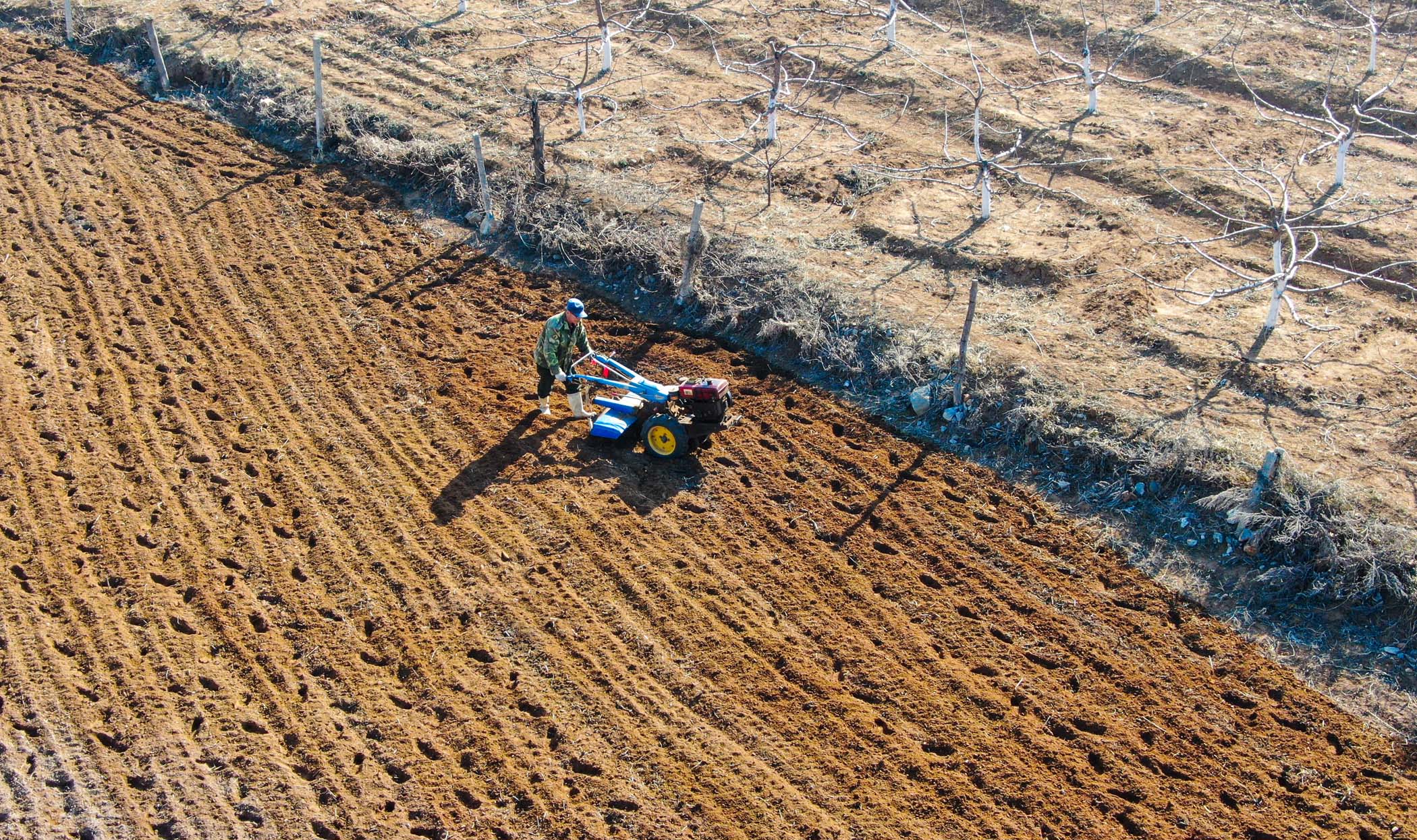 农民备耕忙 大连计划今年播种粮食面积达390万亩__凤凰网