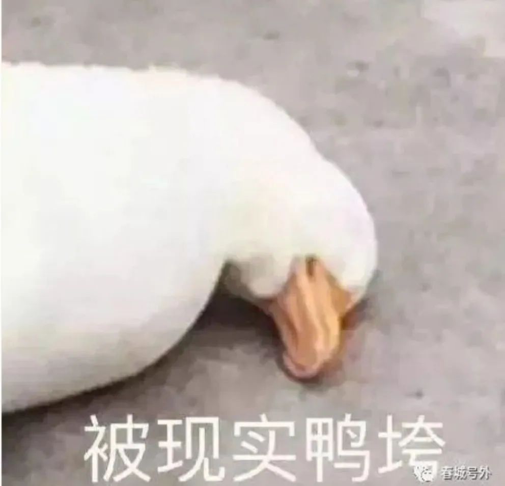 官宣：在宝鸡，这个行业最赚钱(在宝鸡市做什么生意比较好)