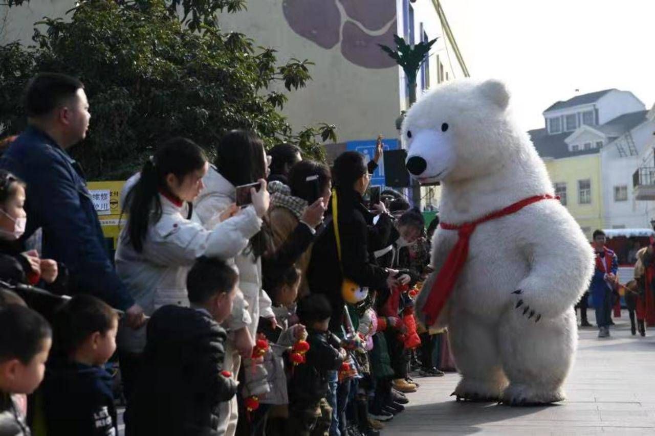 迎新年武漢海昌海陸空天團動物大巡遊