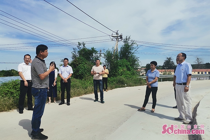 乡村振兴蓬莱大柳行镇服务队8个服务项目同台打擂