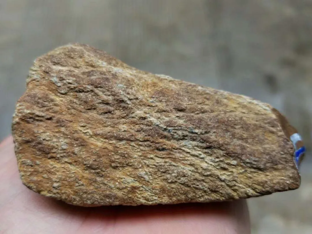 货主买了一块神仙场口的莫西沙原石开窗果然没让人失望