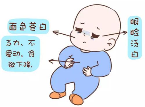 孩子贫血食补就要这样吃让孩子远离贫血