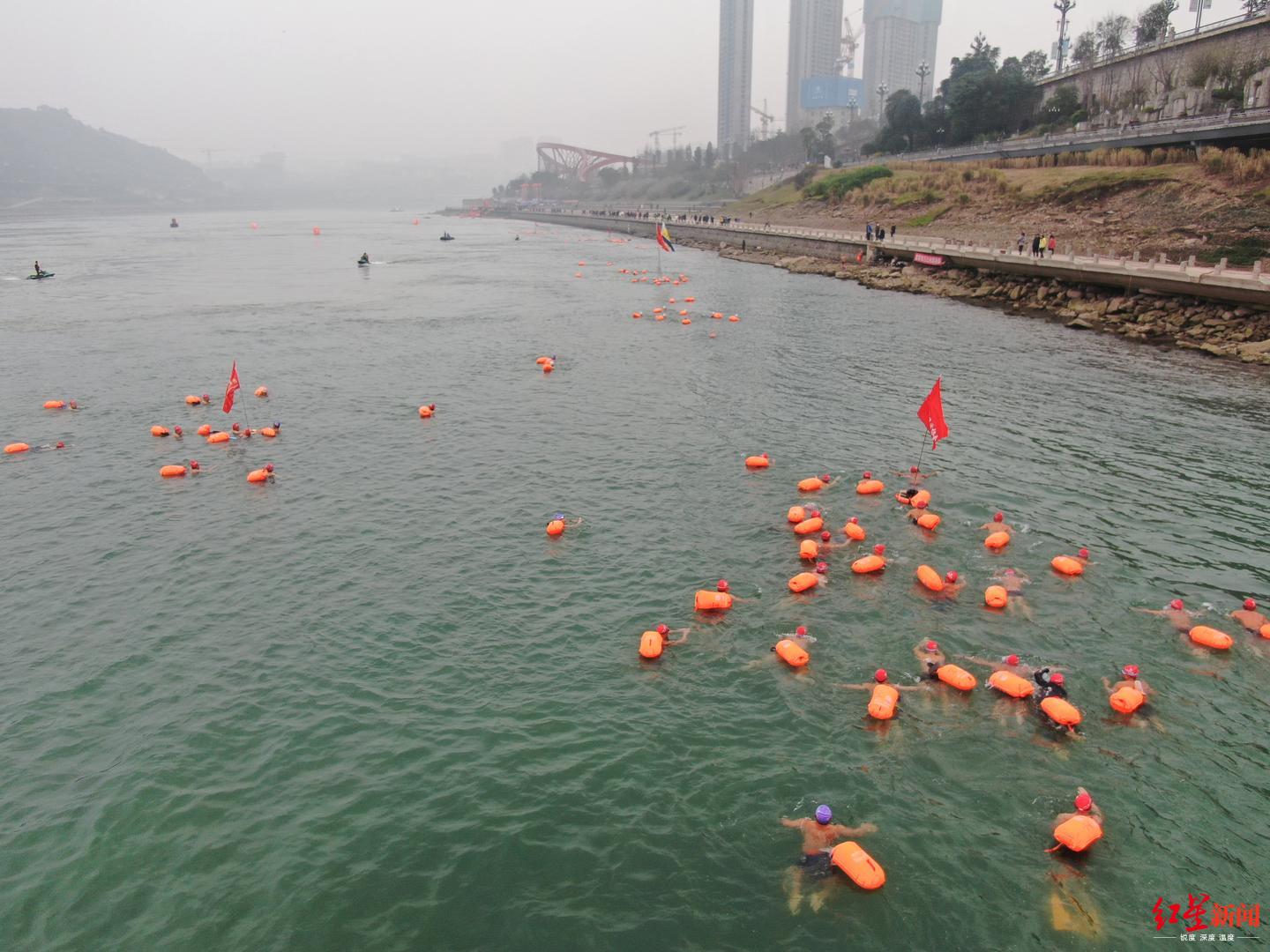 震撼全国1600名冬泳爱好者宜宾横渡长江迎新年