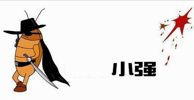 断头不死马桶里重生有一种噩梦叫南方的蟑螂