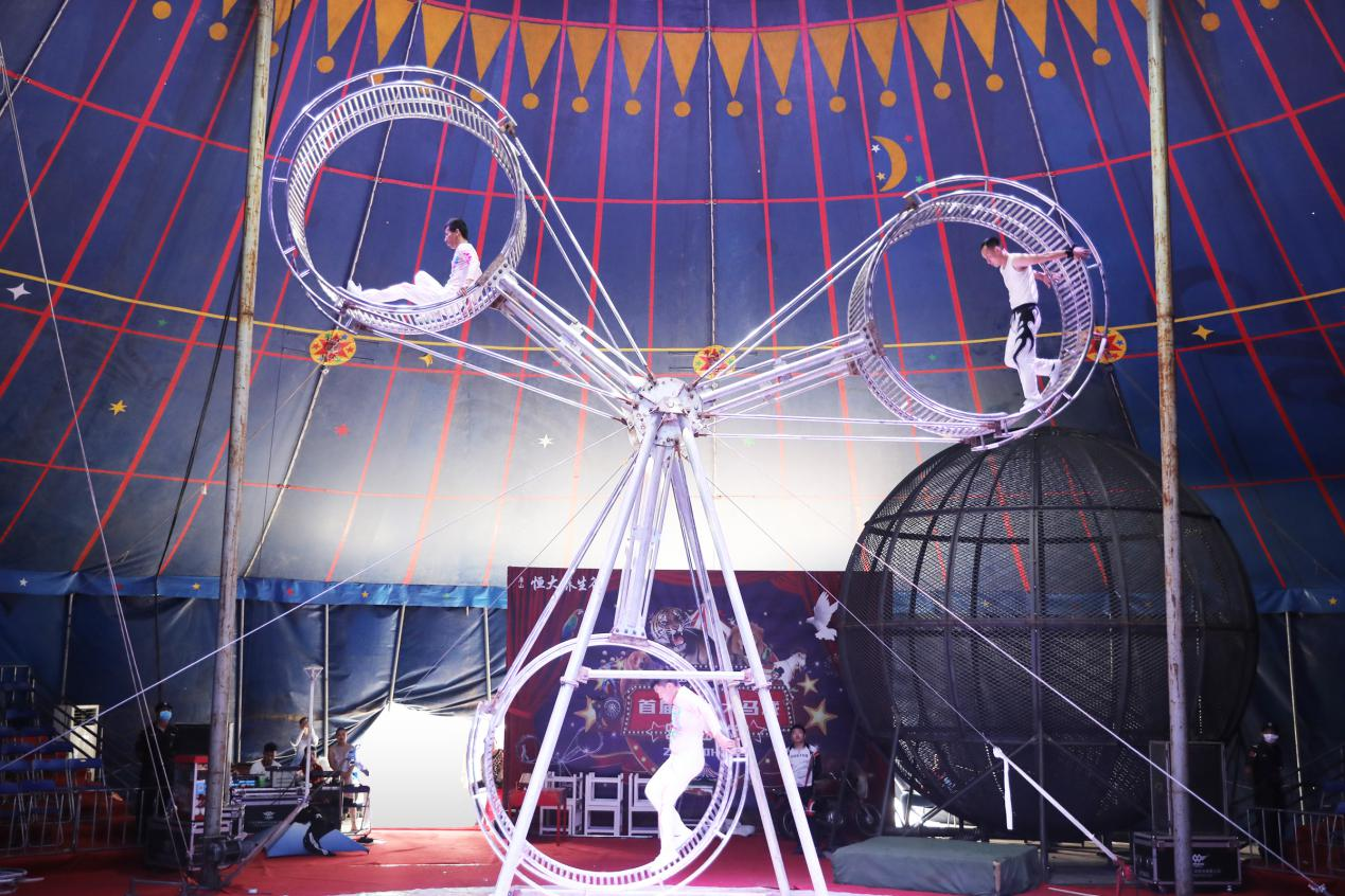 燃爆全城!皇家马戏嘉年华空降唐山恒大养生谷