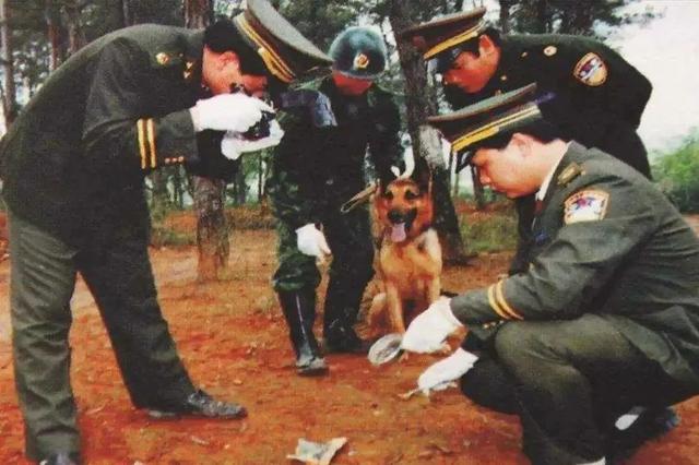 等风声稍微松了一些之后,丁棍于1995年再次回到了石家庄.