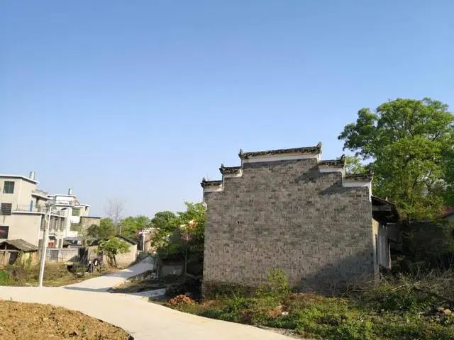 美丽的澄塘镇沙湾村