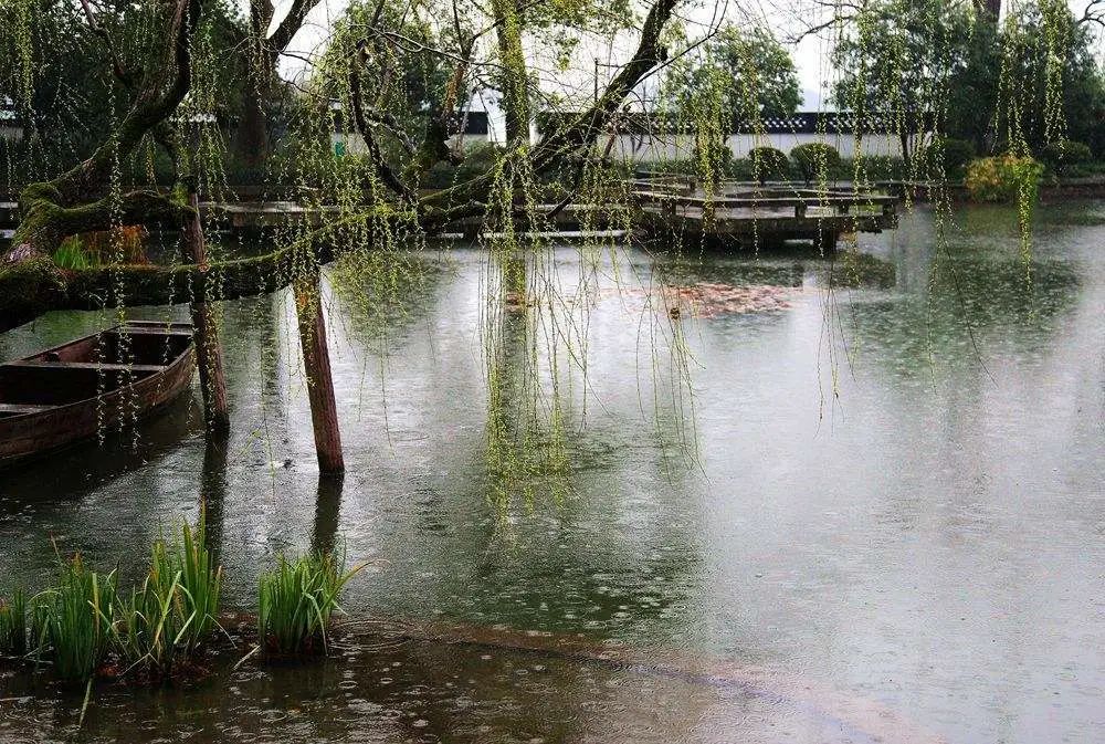 《那一帘春雨》__凤凰网