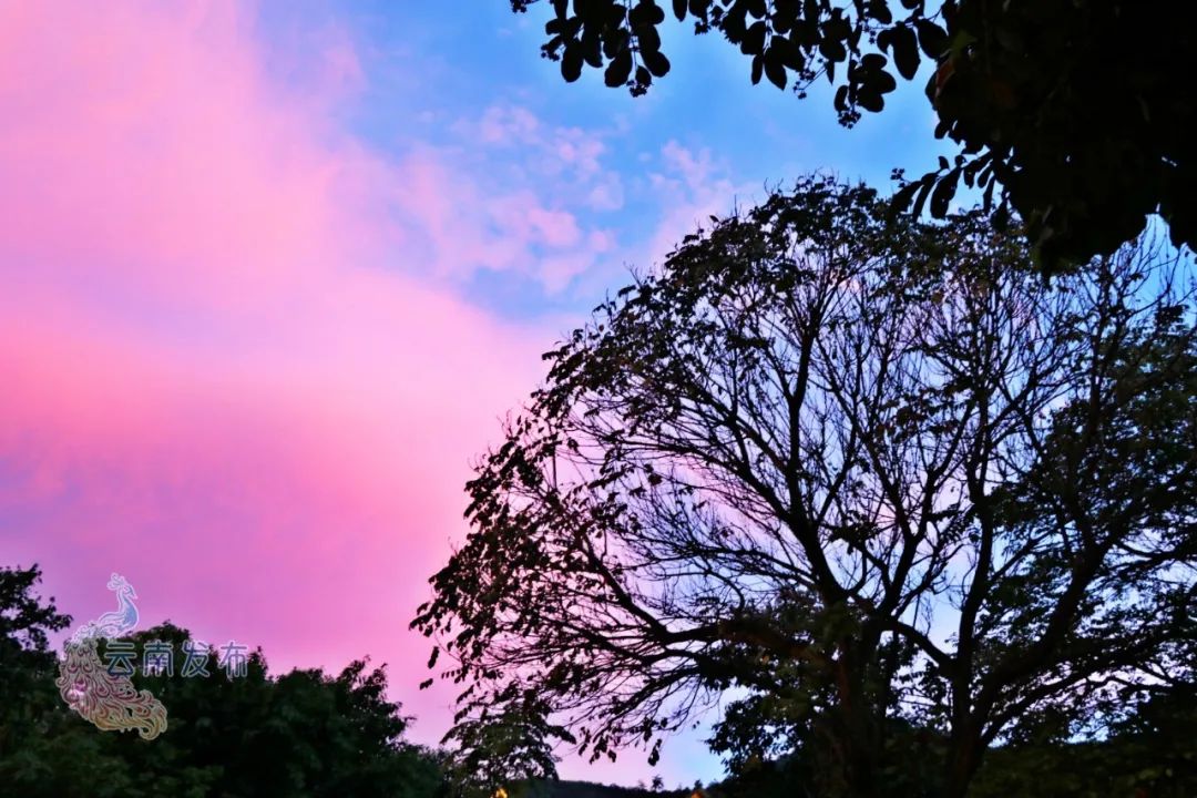 沉浸在温暖的粉色云朵里普洱市 西盟佤山云南省6月8日晚是什么样的呢?