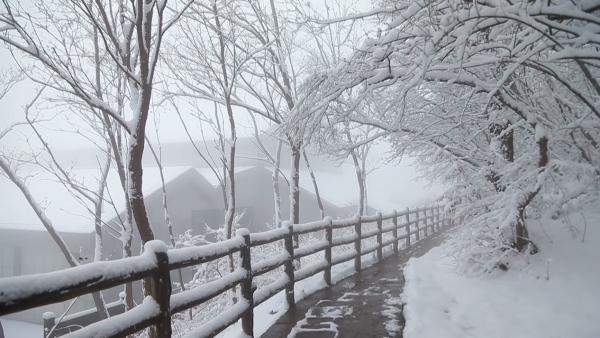 云台山迎入冬第一场雪，游客：像仙境一样