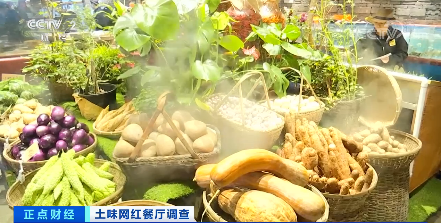 牛大力种植视频大全