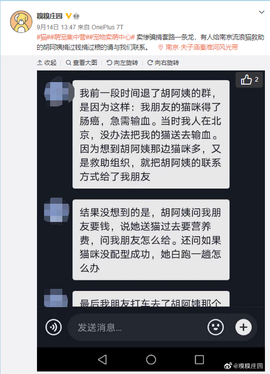 南京流浪猫救助者被质疑骗捐警方：她未借机敛财_凤凰网