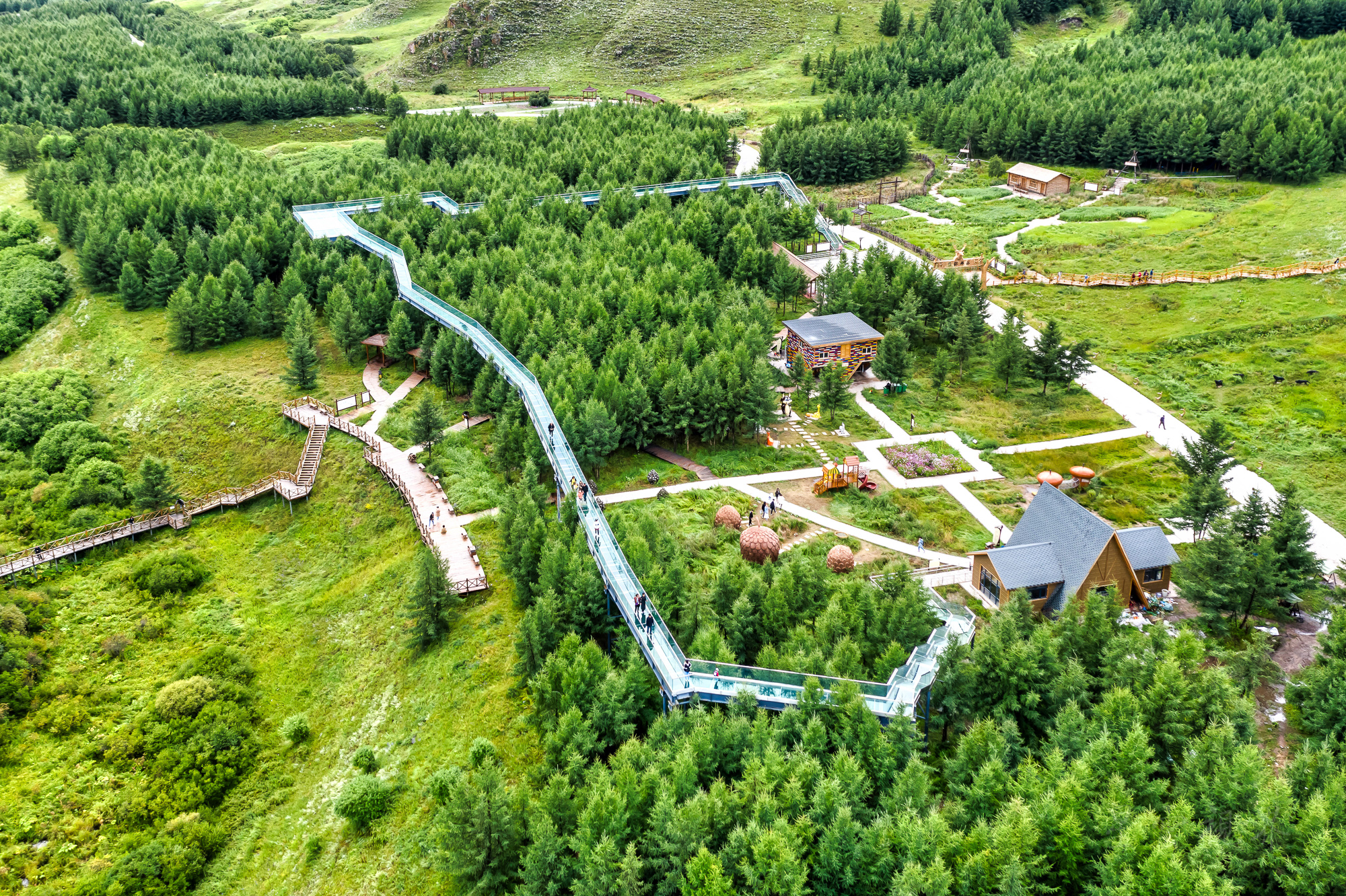 浪漫七夕旅游目的地,坝上七彩森林度假区等着你