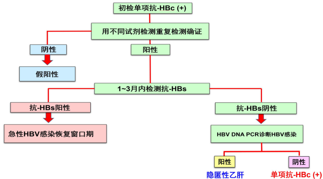 庄辉院士乙肝五项检查单项抗hbc阳性说明什么如何管理