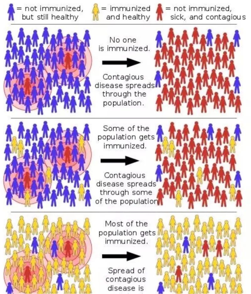 英国抗疫,要先感染60%人口?民调:近6成英国人认同"群体免疫"