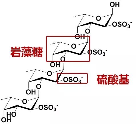 α-L-岩藻糖结构式图片