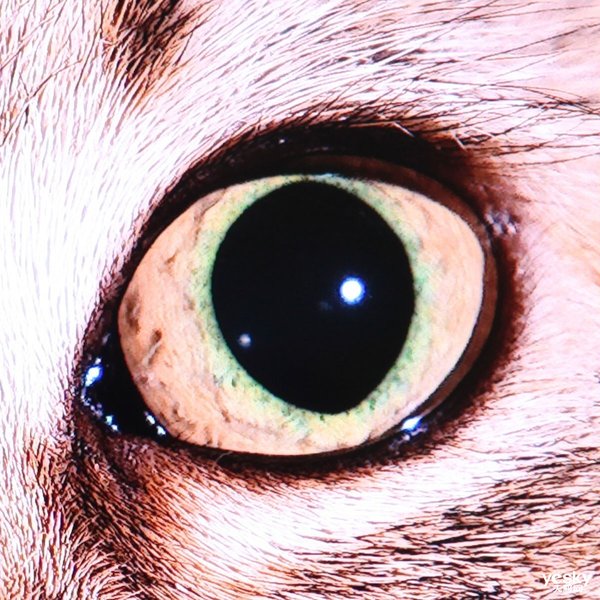 创维8K电视Q71评测_创维8K电视Q71评测