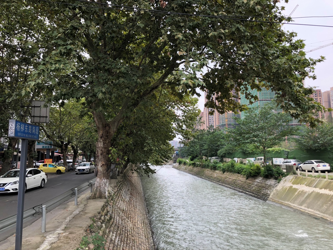 杨柳河 这里街道干净整洁,还有一些社区的小公园,居住舒适度是比较高