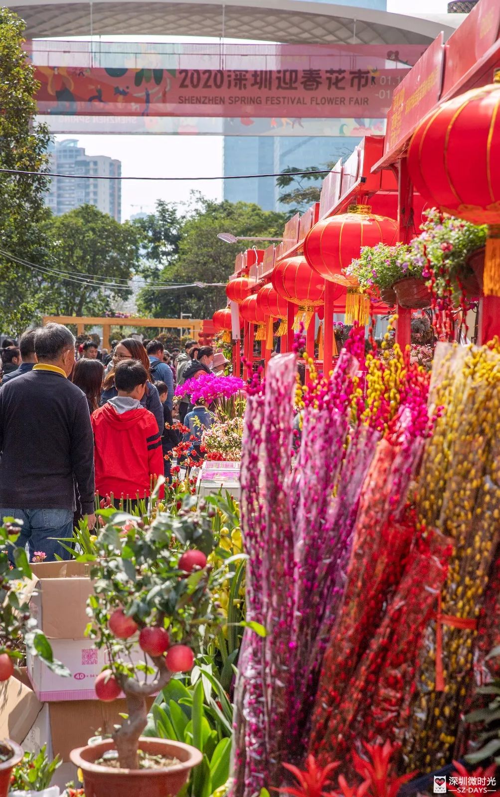 今天深圳花市来了热闹不输爱国路花开成海