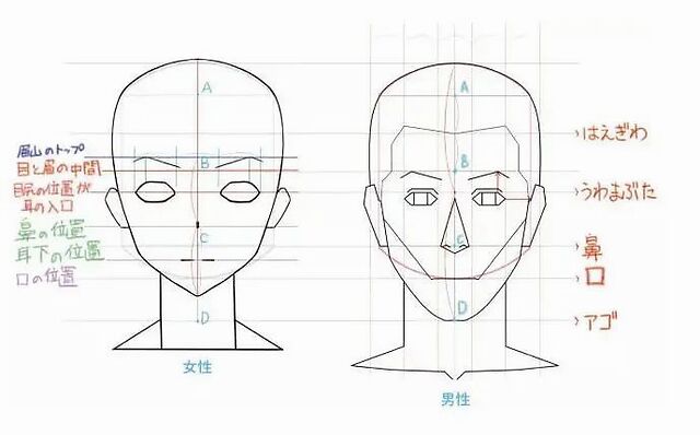 手摸的手教你画好动漫人物的脸型__凤凰网
